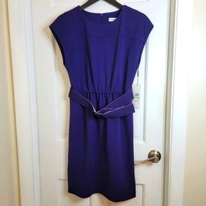 NWT-Calvin Klein Purple Belted Dress. 8.